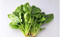 压力山大 30几岁的辣妈该吃啥？