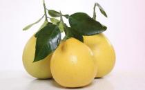 哪些食物可以美容皮肤