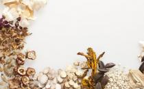 中药方子教你如何去除黄褐斑