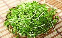 告别大饼脸常吃这几种食物