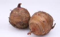 光吃肉？6种素食比肉类有营养