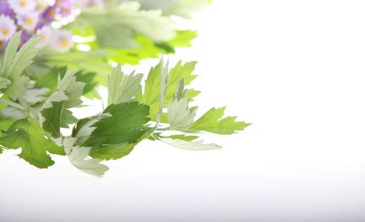 艾草的药用作用