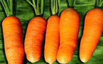 吃胡萝卜可以瘦脸吗