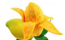 头发干枯毛躁吃什么水果