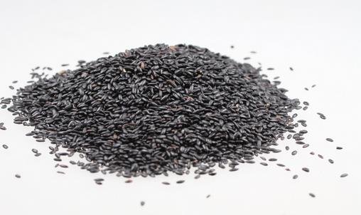 补肾健脾黑米食谱