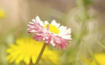 如何防感冒？居家实用生活妙招