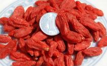 益肾保健良药枸杞子