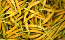 7种蔬菜没煮熟毒胜砒霜