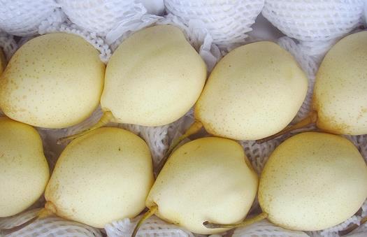 经期吃什么水果好？经期不能吃什么？