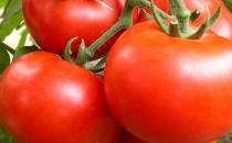 推荐：最养男人的12种食物