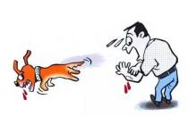 狂犬病的急救常识你知道吗？