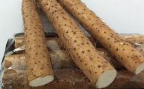 补血“三宝”让女人更美丽