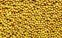 春季女性养生的四大黄金食物