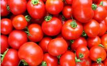 番茄乱吃伤身体 美味也有5禁忌