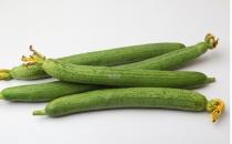 丝瓜水除皱缩毛孔 天然护肤