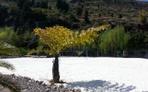 进入高原之前的准备以及高原途中注意事项