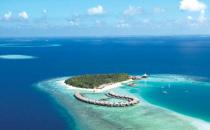 外出旅游要注意避开这些毒物！