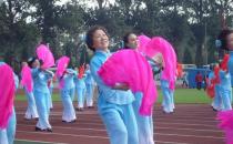 老人春季养生的运动小技巧