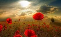 在旅途中关于饮食的学问