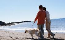 老人散步有讲究 甩手大步走更健康