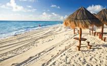 到墨西哥来看看仙人掌