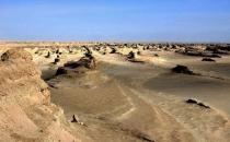 罗布泊又见飞鸟走兽