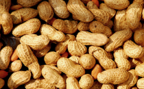 这8种人吃花生就像吃“毒药”