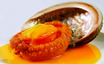 鲍鱼哪些部位不能吃 怎么挑新鲜鲍鱼