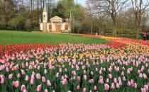 杭州旅游全攻略：西湖之美晴雨皆备