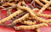 让女人身体焕发新生的七味中药