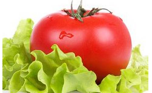 四个好习惯让女人水润一整天