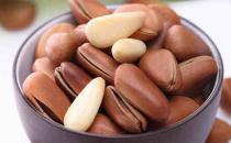 松仁的食用禁忌一览