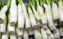 茭白的营养价值与饮食禁忌介绍