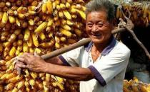 重体力活会导致精子质量低