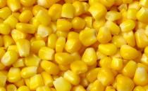 适合三高人群的8种食物推荐