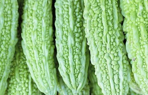 儿童吃苦味菜造血促食欲 苦味菜有哪些？
