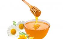 老人养生要多吃蜂蜜