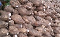 粉葛防三高极好 粉葛汤方推荐