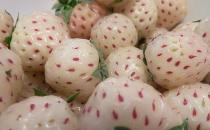 菠萝莓应该怎么吃？吃菠萝莓的注意事项