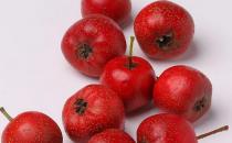 孕期绝不能吃15类食物