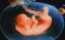 你知道胎儿在腹中做些啥吗