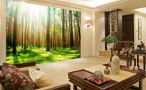 客厅装饰画的清洁与保养方法