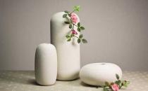 花瓶的搭配知识和保养方法