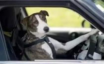 工作狂的病态心理解析