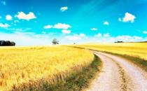 别再抱怨你的工作 抱怨让你更加不顺