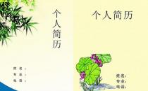 求职简历通常用哪些类型？