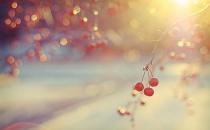 打造属于自己的形象让人记忆深刻