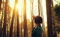 职场新人如何发泄自己的情绪？