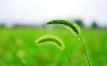 在职场生存必须掌握的能力