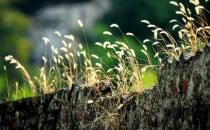 职场新人这样才能快速融入新环境